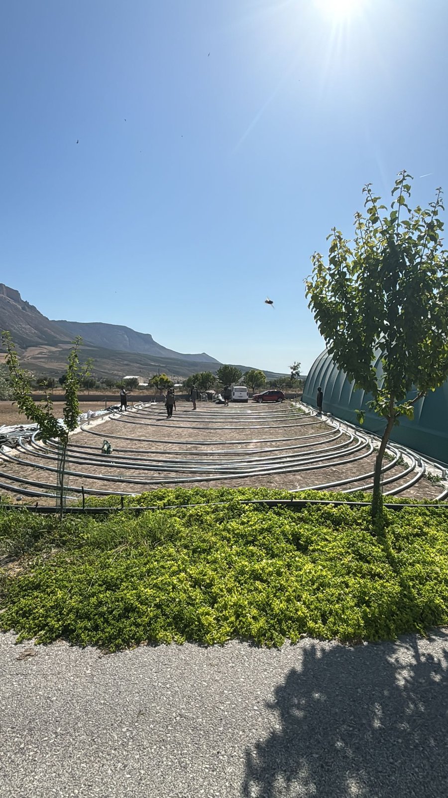 Tenda Agrícola em Almería · Preparação do terreno