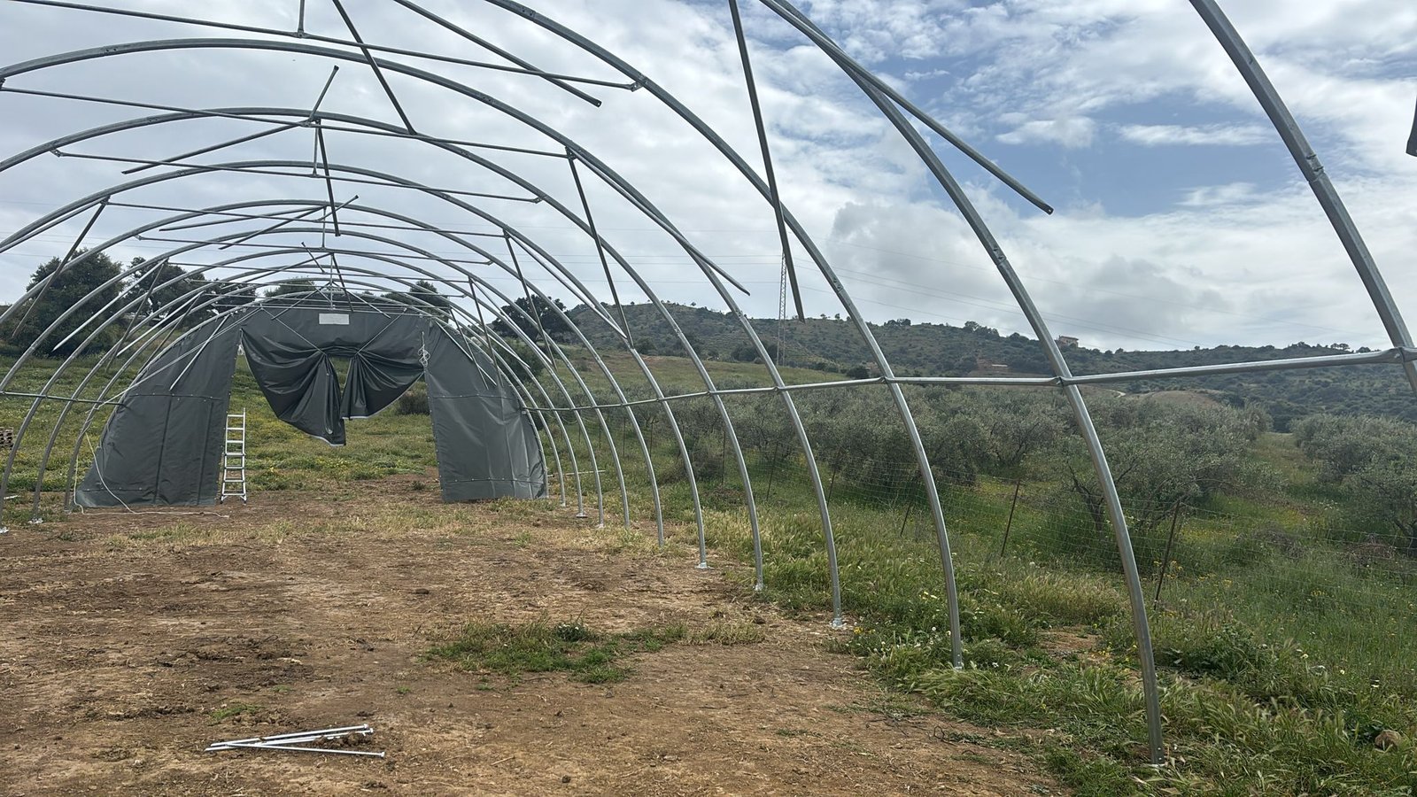 Tenda Agrícola em Coín