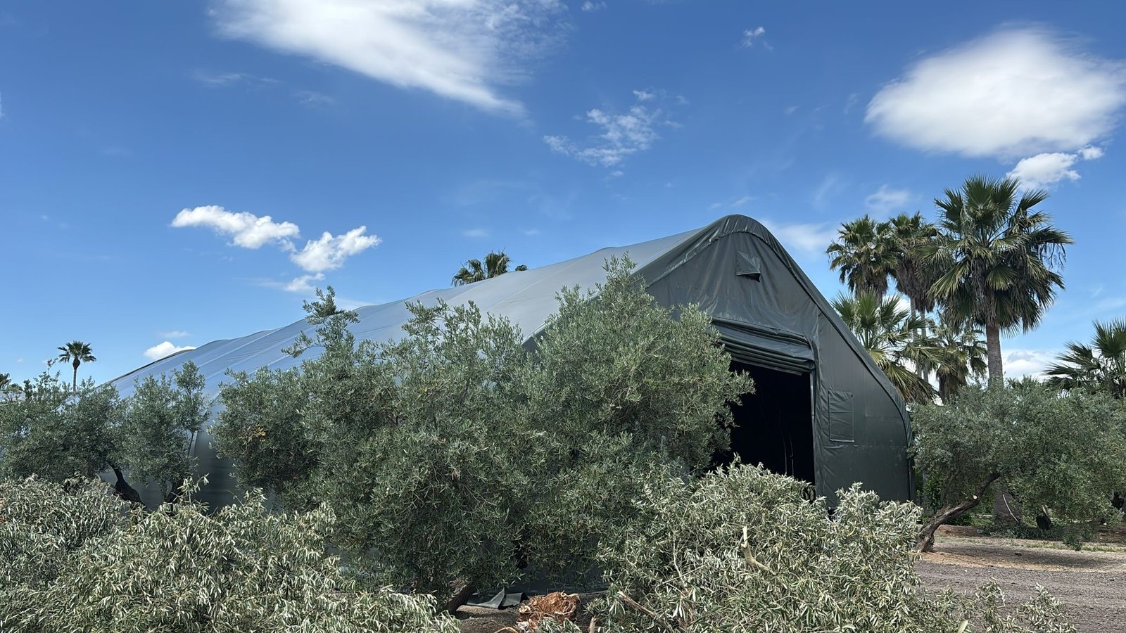 Tenda de Armazenagem em Jaén